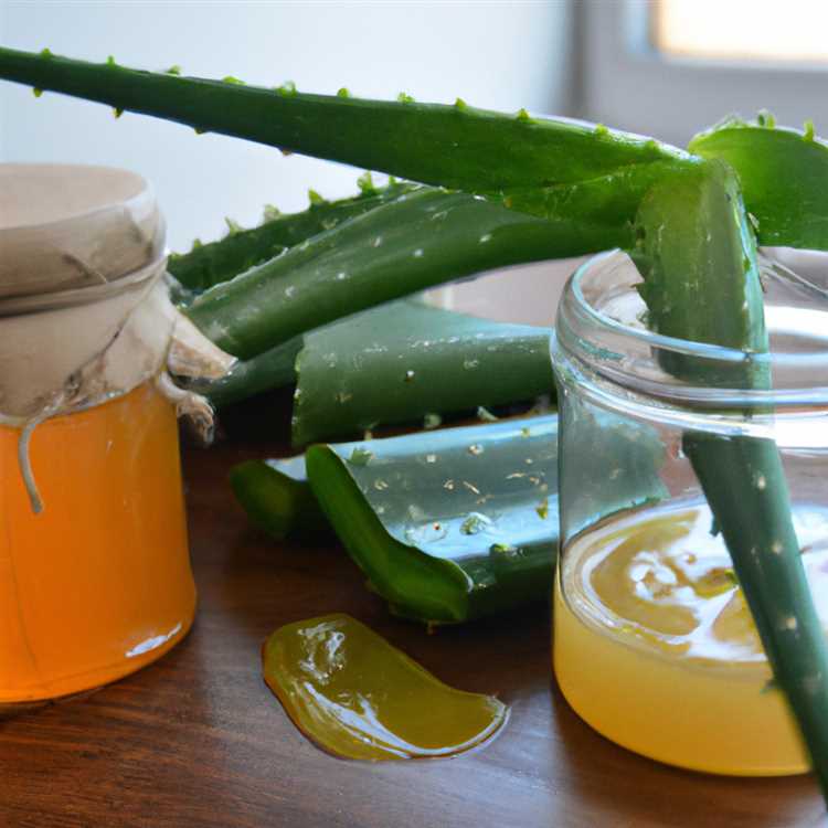 Рецепт алоэ с медом в домашних