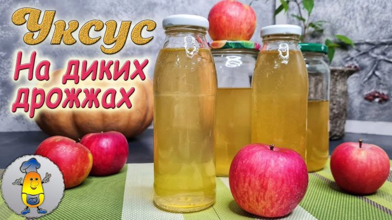 Сочетание уксуса с медом — простой и полезный рецепт для здоровья и красоты